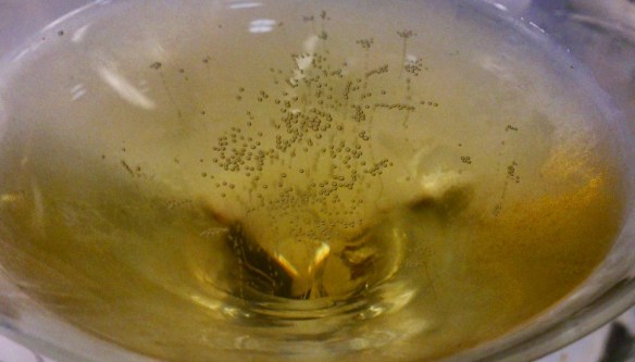 Champagne Egly Ouriet