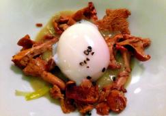 Ab ovo - chef Matteo Fronduti