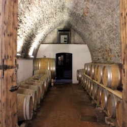 Castello di Montecavallo - Cantina