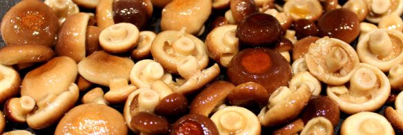 Crema di zucca - funghi