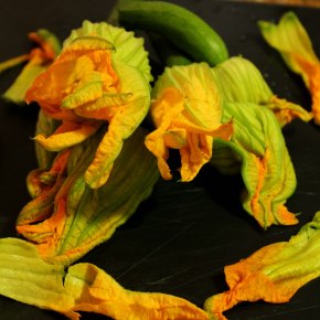 fiori-di-zucca