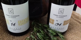 thomas-niedermayr-solaris-e-bronner