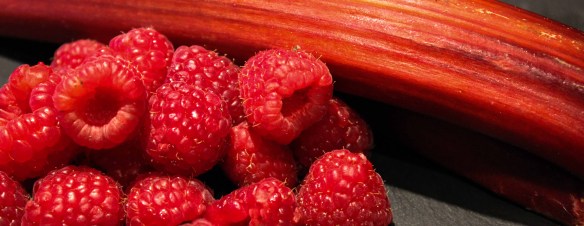Rabarbaro e lamponi